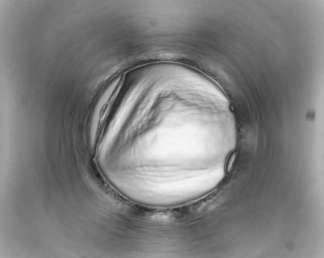 X0000093140358200710241347