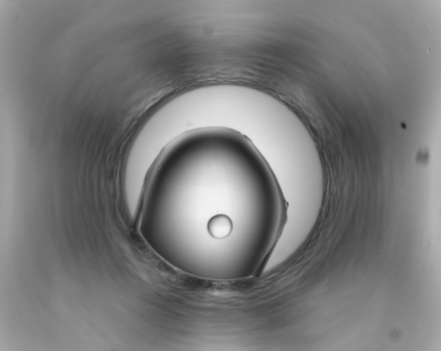 X0000093140360200710241347