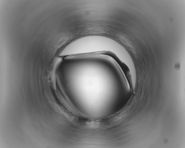 X0000093140362200710241347