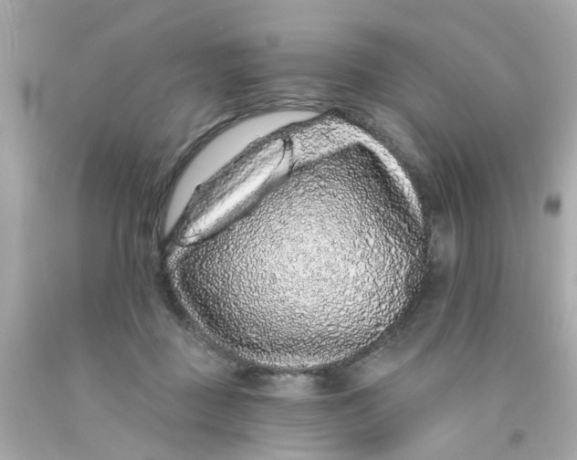 X0000093140363200710241347