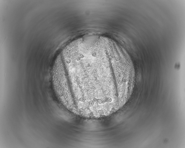 X0000093140367200710241347