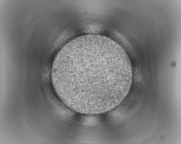 X0000093140370200710241347