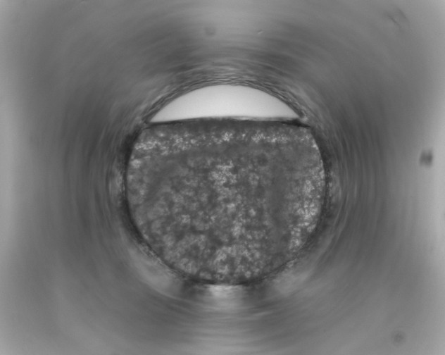 X0000093140371200710241347