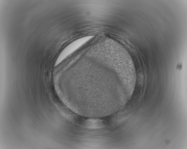 X0000093140375200710241347