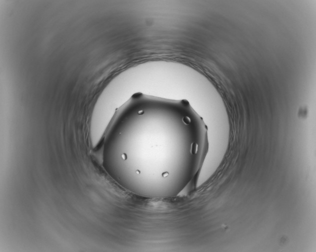 X0000093140376200710241347