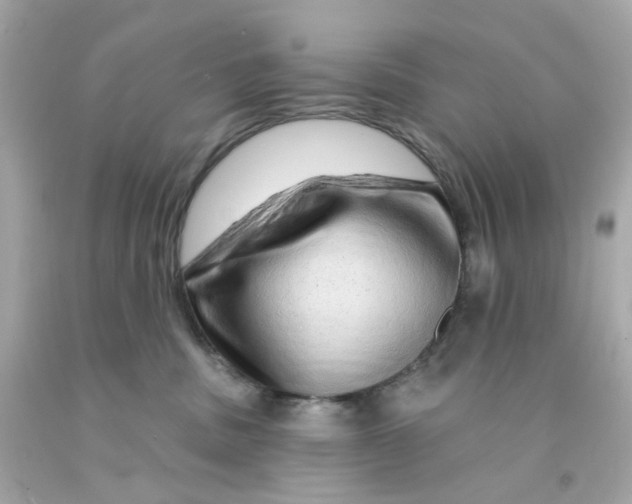 X0000093140379200710241347