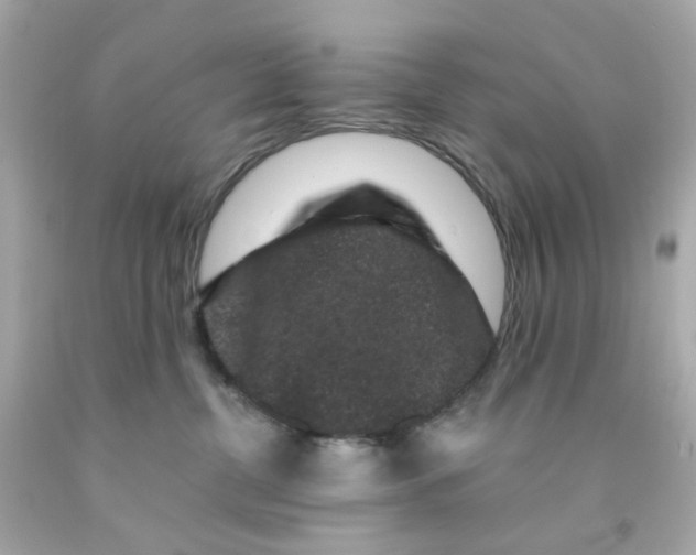 X0000093140380200710241347