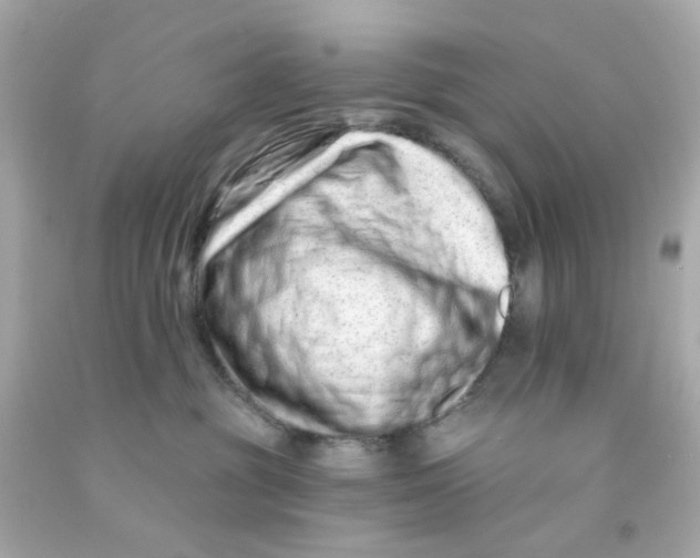 X0000093140381200710241347