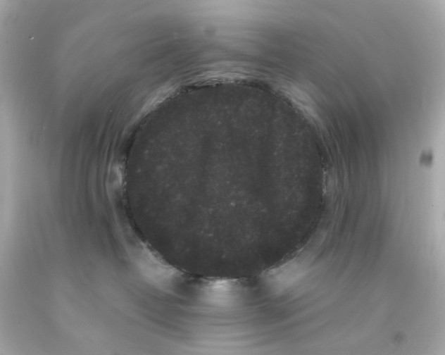 X0000093140382200710241347