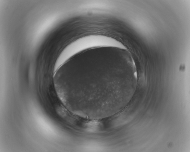 X0000093140383200710241347