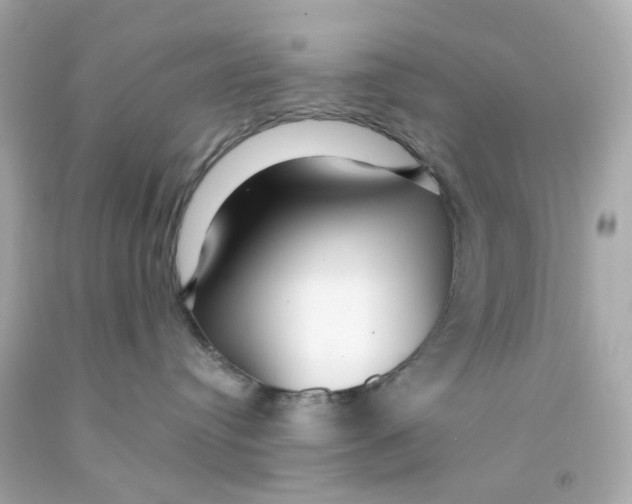 X0000093140384200710241347