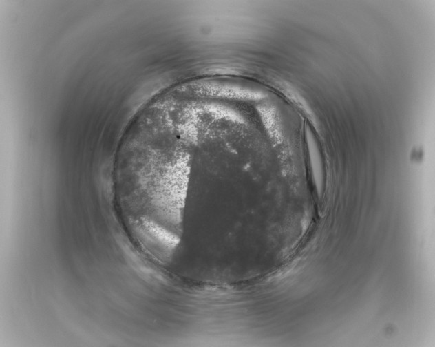 X0000093140386200710241347