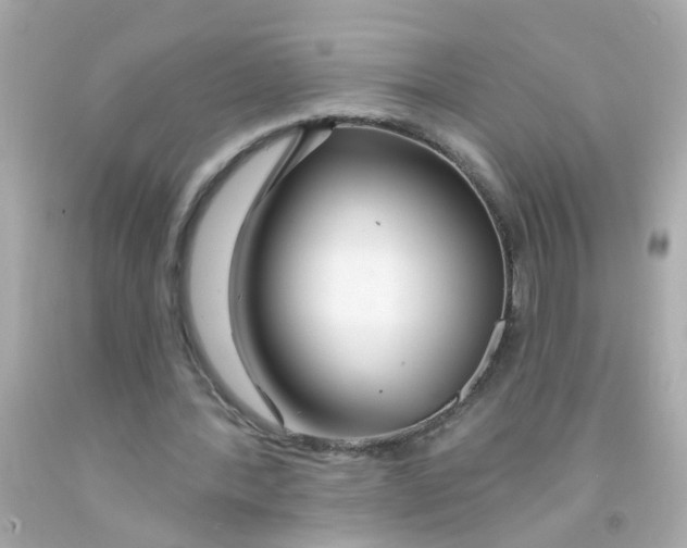 X0000093140388200710241347