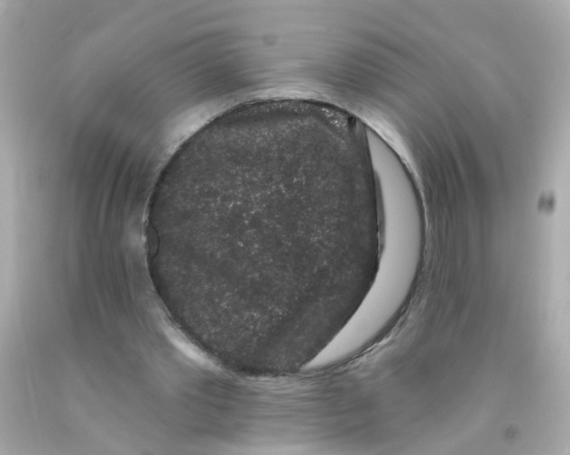 X0000093140389200710241347