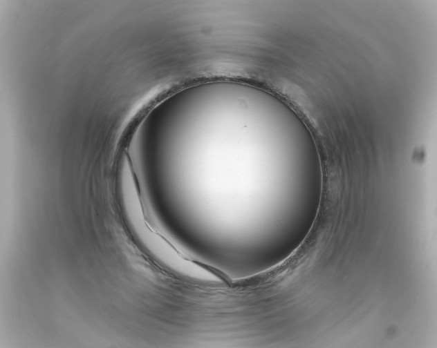 X0000093140395200710241346