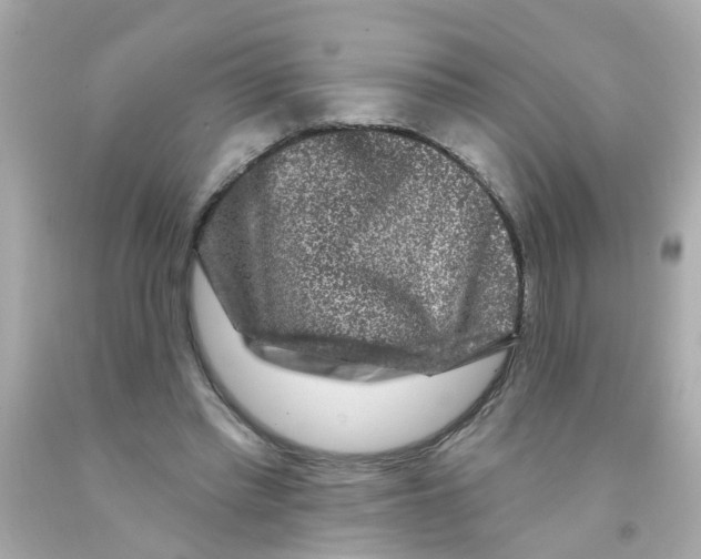 X0000093140397200710241346