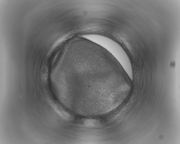 X0000093140400200710241346