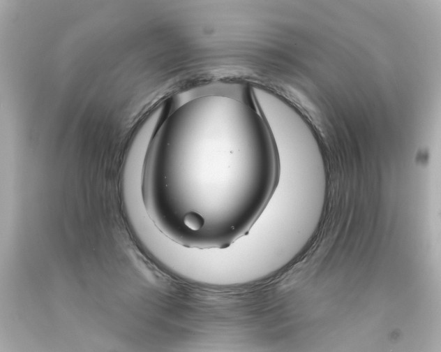 X0000093140405200710241346