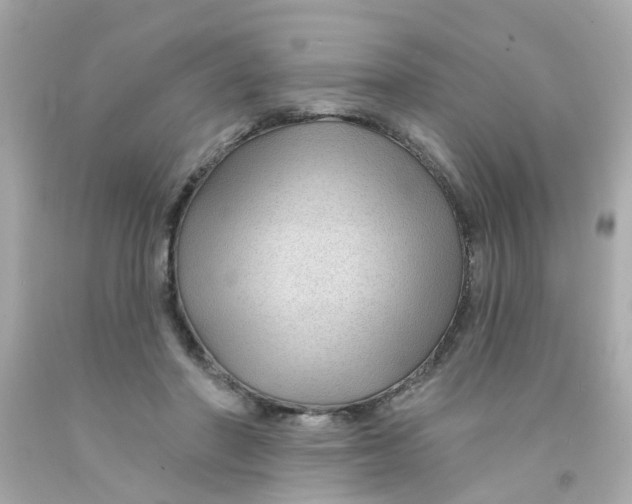 X0000093140406200710241346