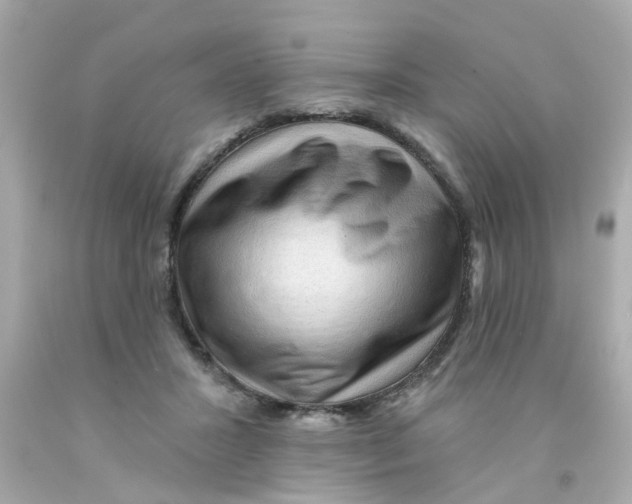 X0000093140407200710241346