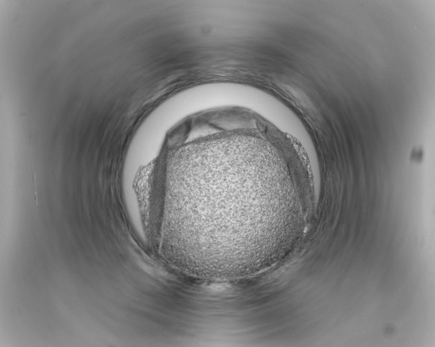 X0000093140409200710241346