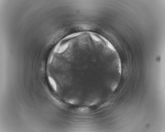 X0000093140410200710241346