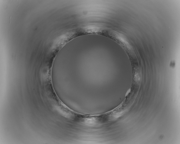 X0000093140411200710241346