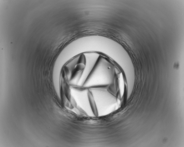 X0000093140412200710241346