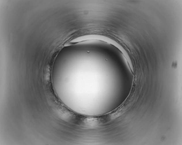 X0000093140413200710241346