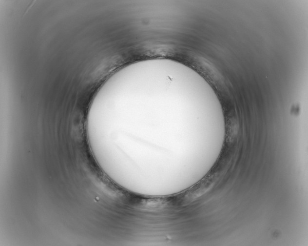 X0000093140414200710241346