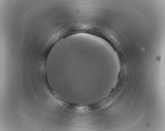 X0000093140415200710241346