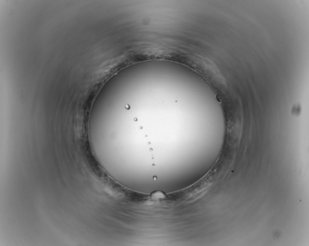 X0000093140416200710241346