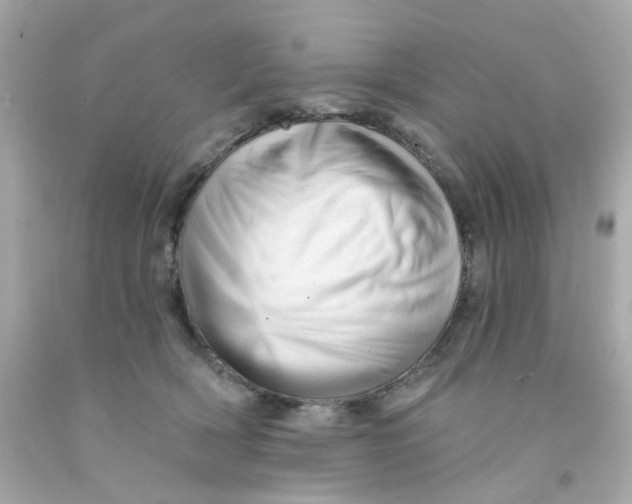 X0000093140418200710241346