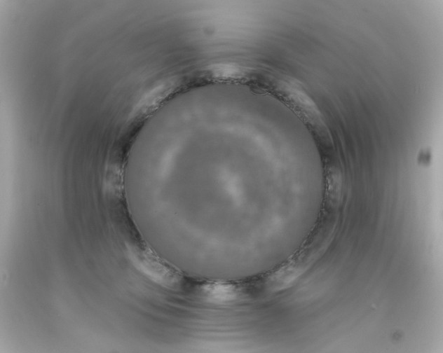 X0000093140419200710241346