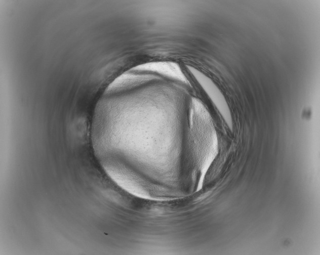 X0000093140420200710241346