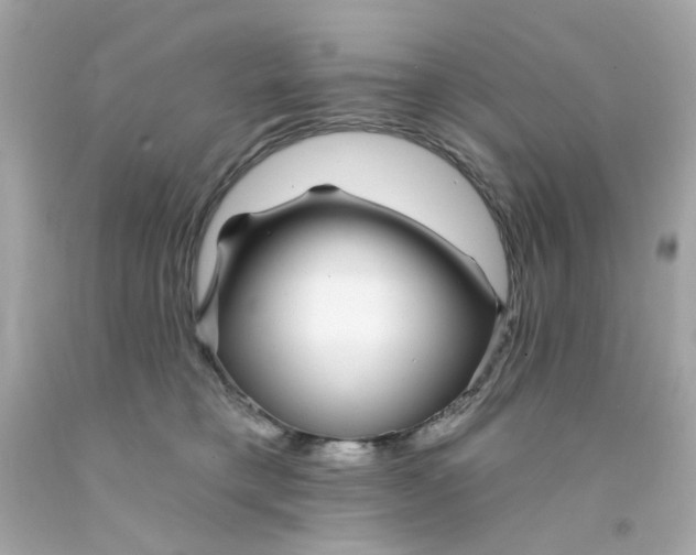 X0000093140421200710241346