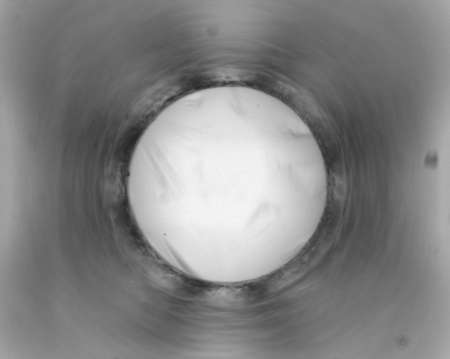 X0000093140422200710241346