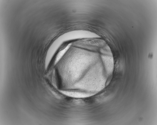 X0000093140424200710241346