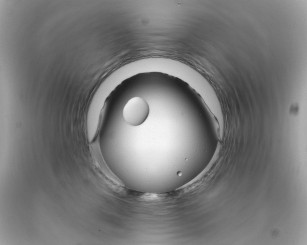 X0000093140425200710241346