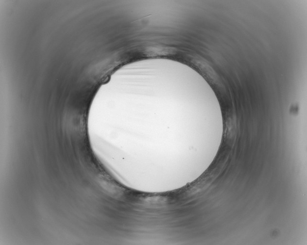 X0000093140426200710241346