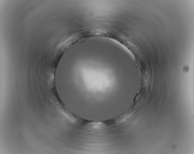 X0000093140427200710241346