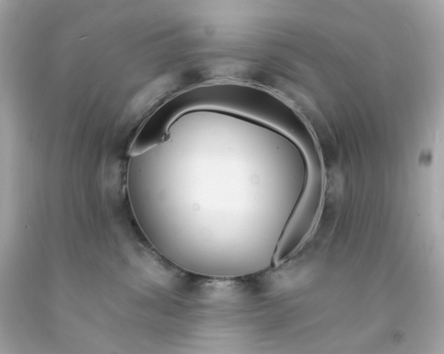 X0000093140428200710241346