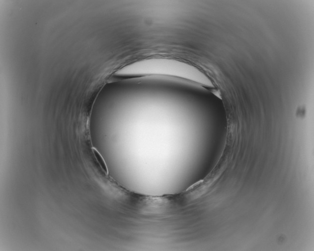 X0000093140429200710241346