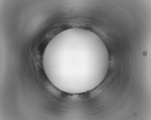 X0000093140430200710241346