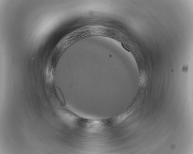 X0000093140431200710241346