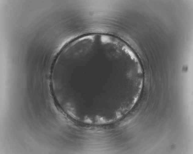 X0000093140434200710241345