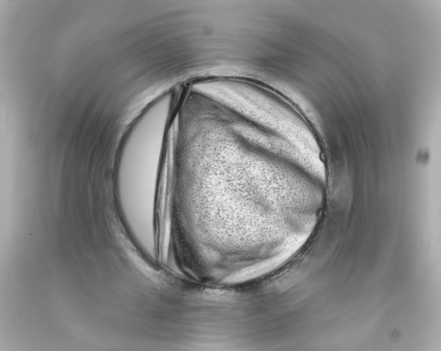 X0000093140437200710241345