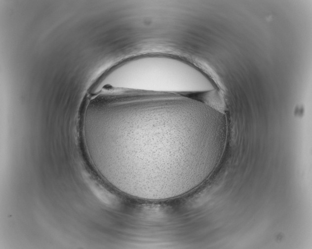 X0000093140439200710241345