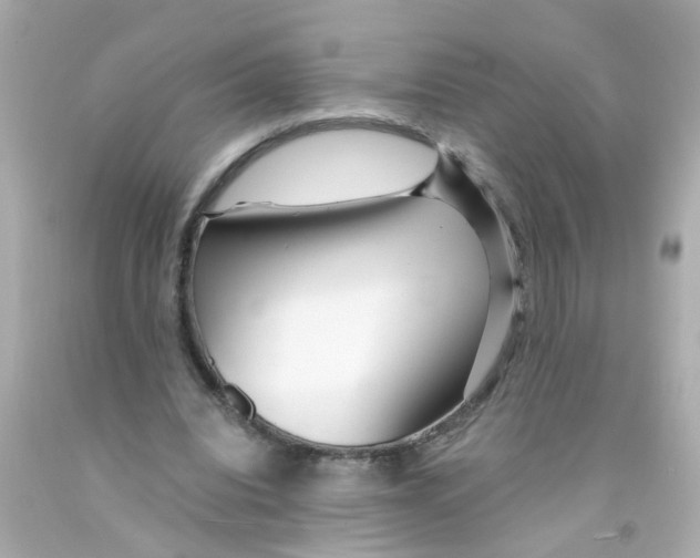 X0000093140440200710241345