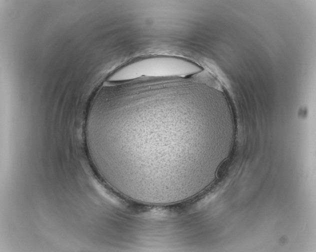 X0000093140441200710241345